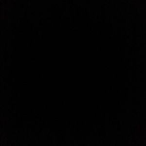 Meet your Posher, Noah